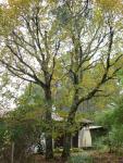 DSC00994