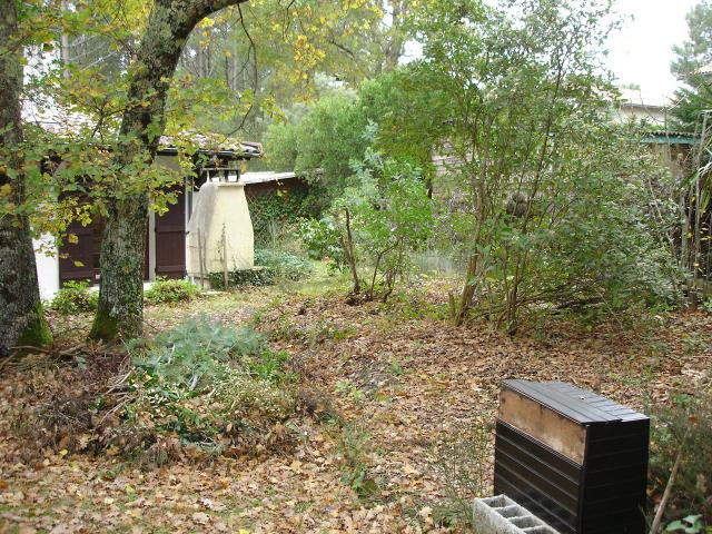 DSC00995
