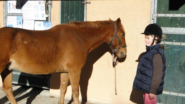 DSC00906