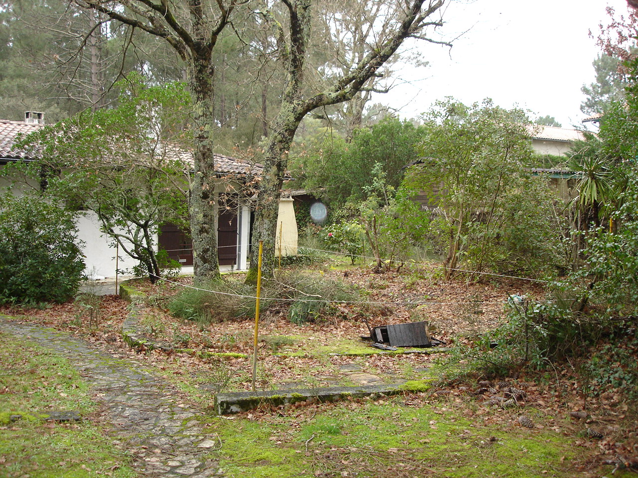DSC01081