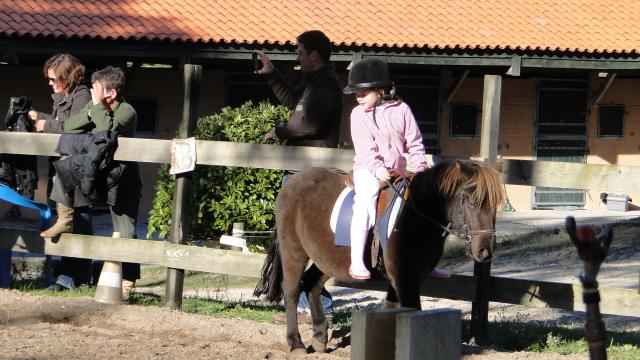 DSC00953